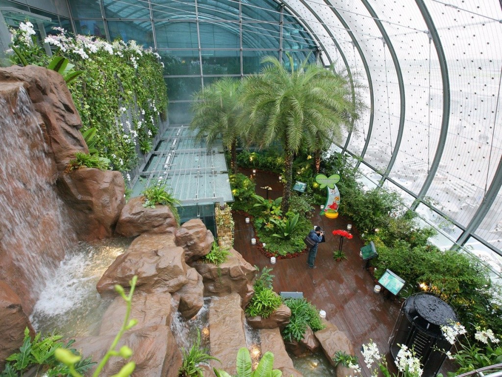 Singapore Changi Airport Butterfly Garden Nature 1024x768 - Top 10 International Airports with Awesome Feng Shui